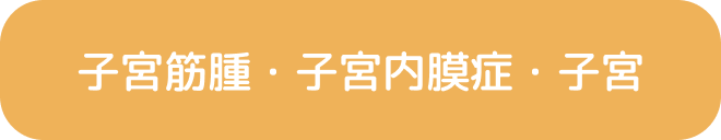 子宮筋腫・子宮内膜症・子宮