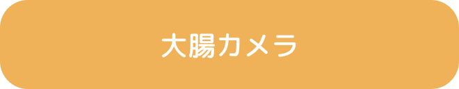 大腸カメラ