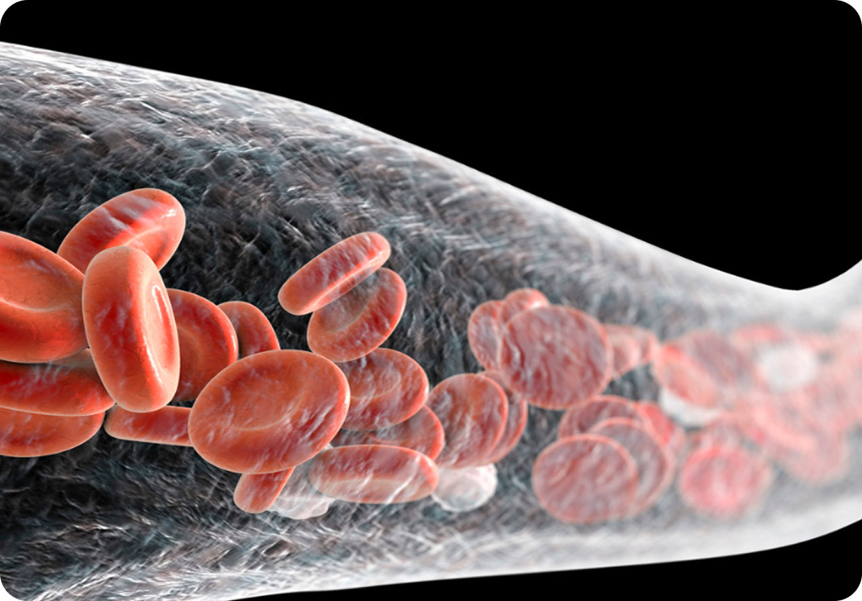 循環器・血液内科の専門外来にも対応